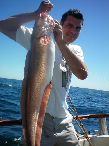 GIGANTES DEL MAR